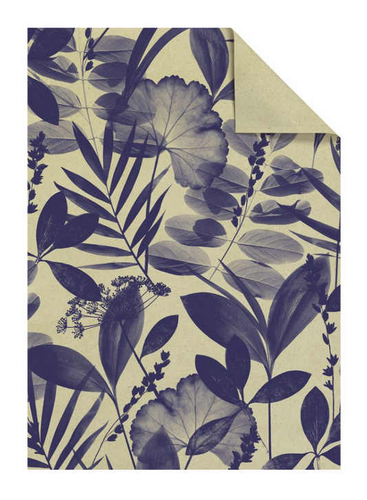 Carta Regalo f.to 100x70 Sona