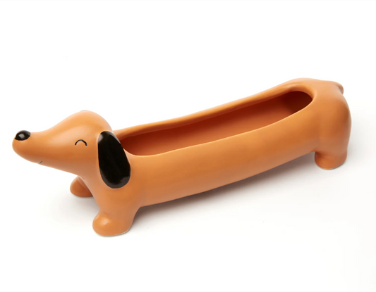 Vaso per piante - Daisy il Bassotto