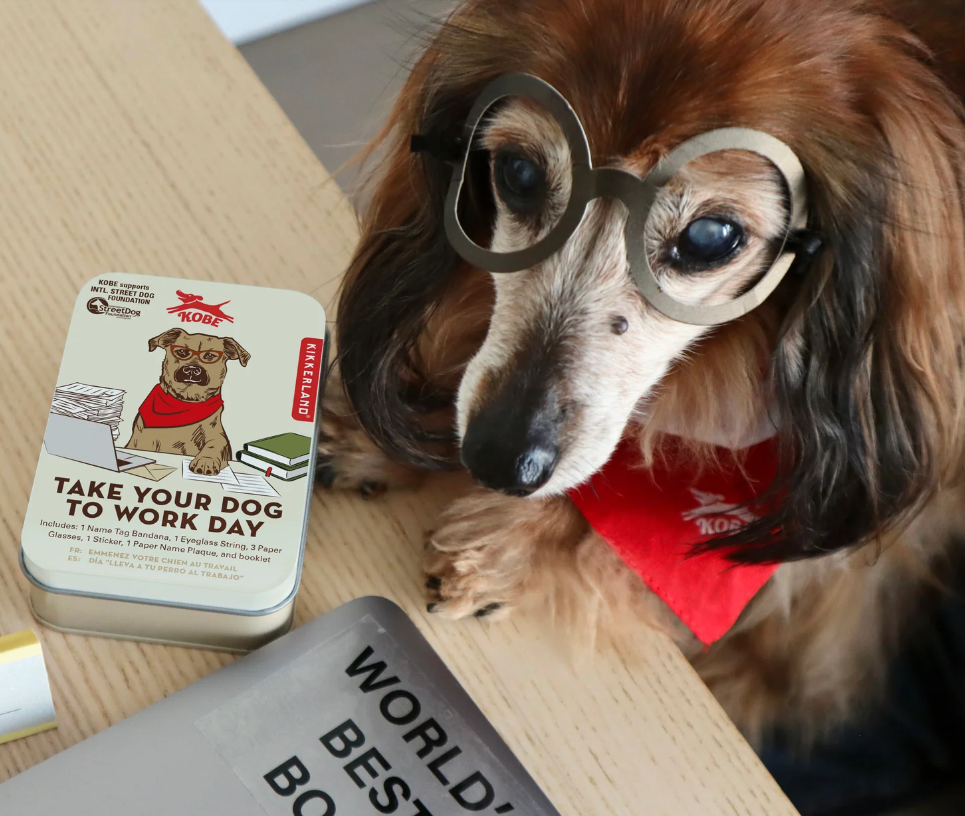 Set porta il tuo cane a lavoro - Kobe