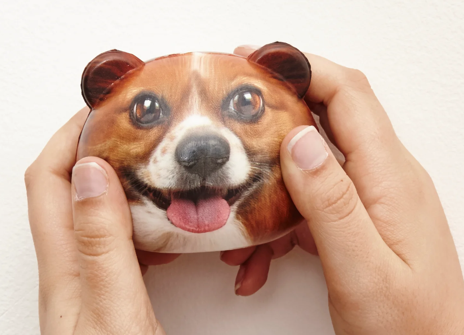 Palla Antistress Dog