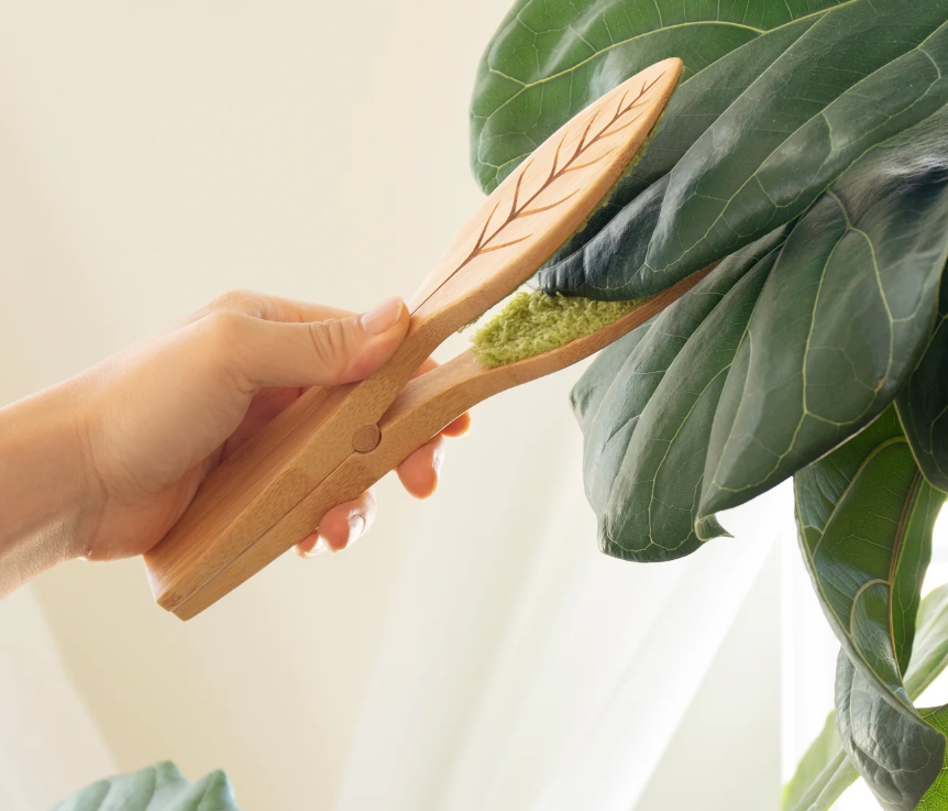 Pinze per la pulizia delle foglie