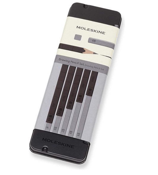 Astuccio metallo Set 5 matite da disegno