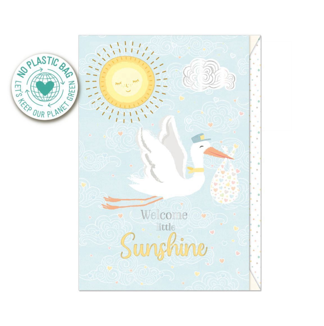 Biglietto doppio + busta augurale Nascita Cicogna Celeste