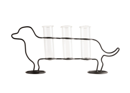 Vaso di propagazione a forma di Bassotto