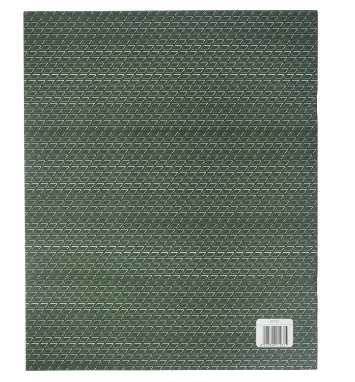 Registro IVA corrispettivi 15 pagine numerate f.to 31x24,5 EDIPRO - E2103