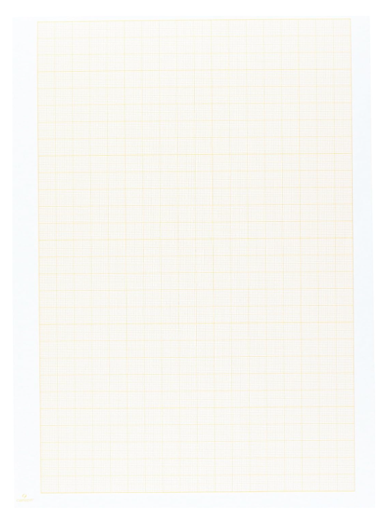 Blocco di Carta Millimetrata 10 Fogli 80Gr/M2 Formato A4 Canson