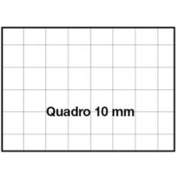 Quadernone A4 Rigatura 10mm 80gr