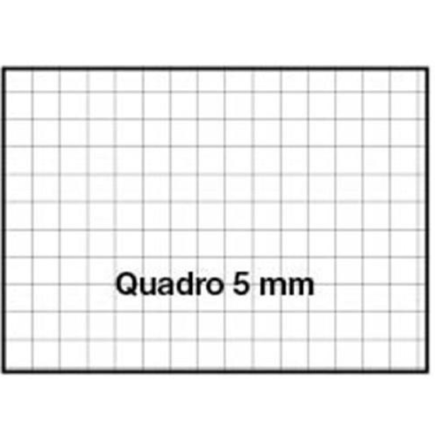 Quadernone A4 Rigatura 5mm 80gr BLACK&FLUO