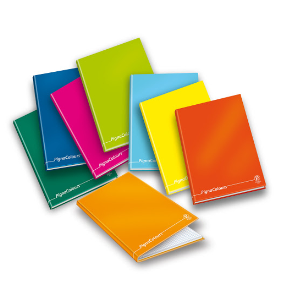 Quaderno Cartonato A4 256 pagine 1 Rigo Pigna