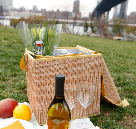 Borsa refrigerante e sedile per picnic in vimini 22 litri, mantiene caldo e freddo fino a 4 ore