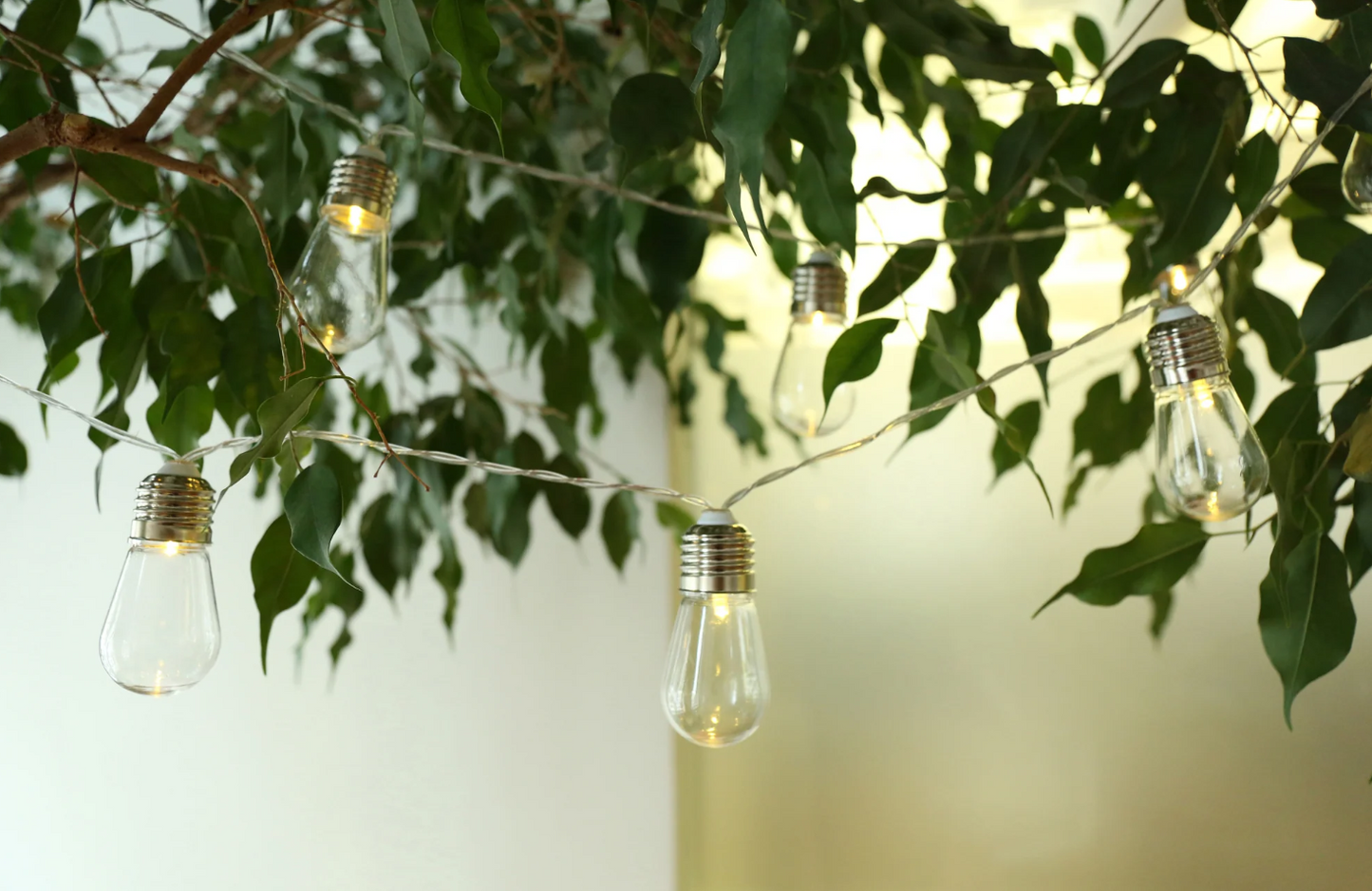 Lampadine Edison Bulb set da 2 metri