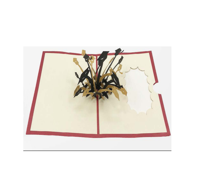 Biglietto Augurale Origami Laurea Lancio del Tocco