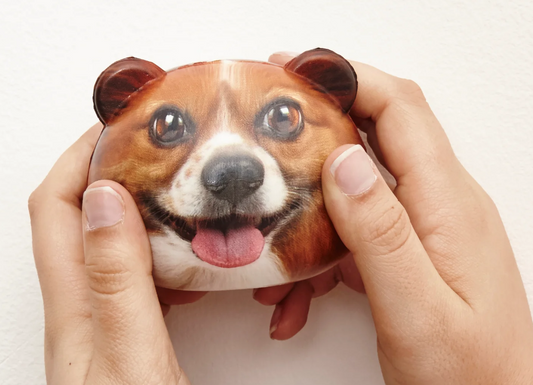 Palla Antistress Dog