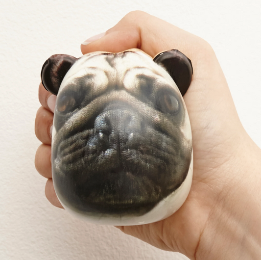 Palla Antistress Dog Carlino