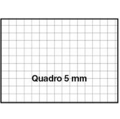 Block notes formato A5 5mm Pigna