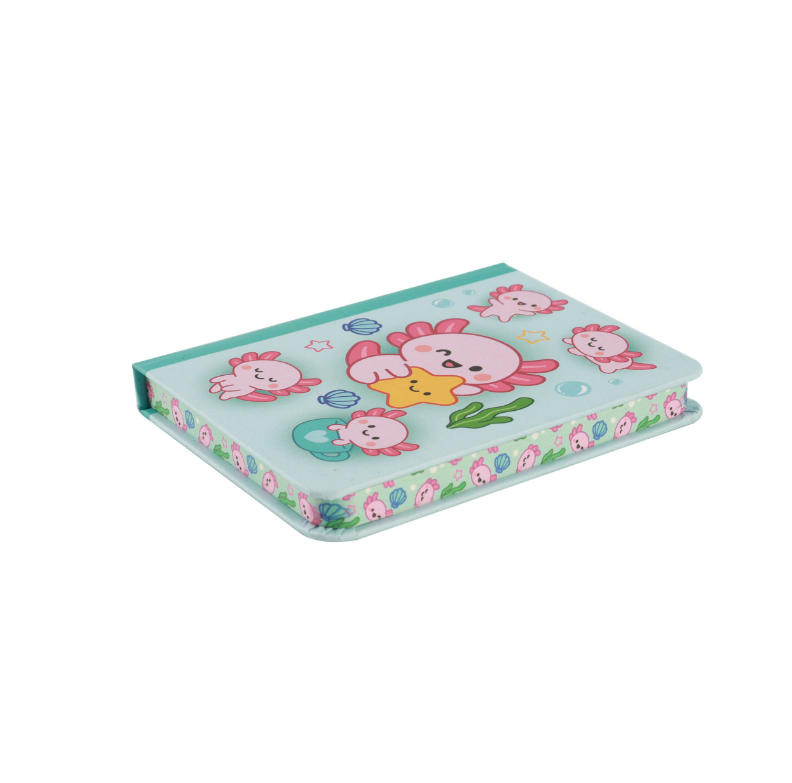 Mini Notebook AXOLUT iTotal®